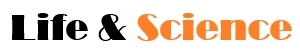 소개